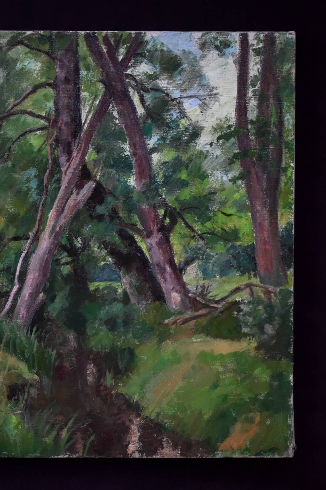 1950 Forest Stream Landscape Oil Painting French Provence Signed Georges Pacouil