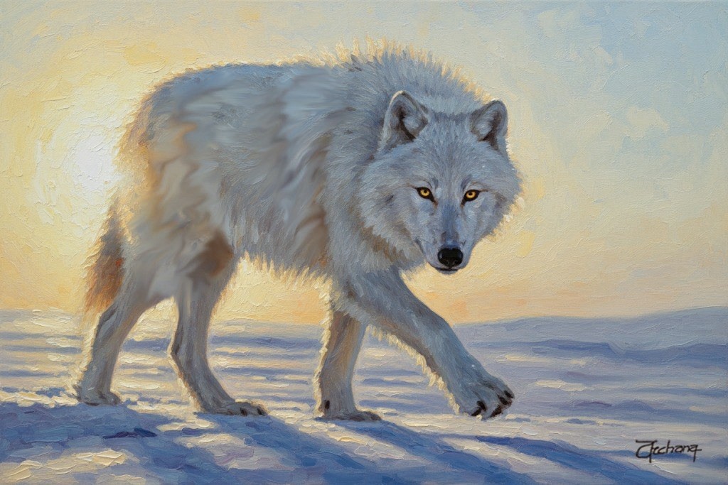 Original Hand Painted Oil Painting-25×16”Majestic White Wolf Signed By Artist
