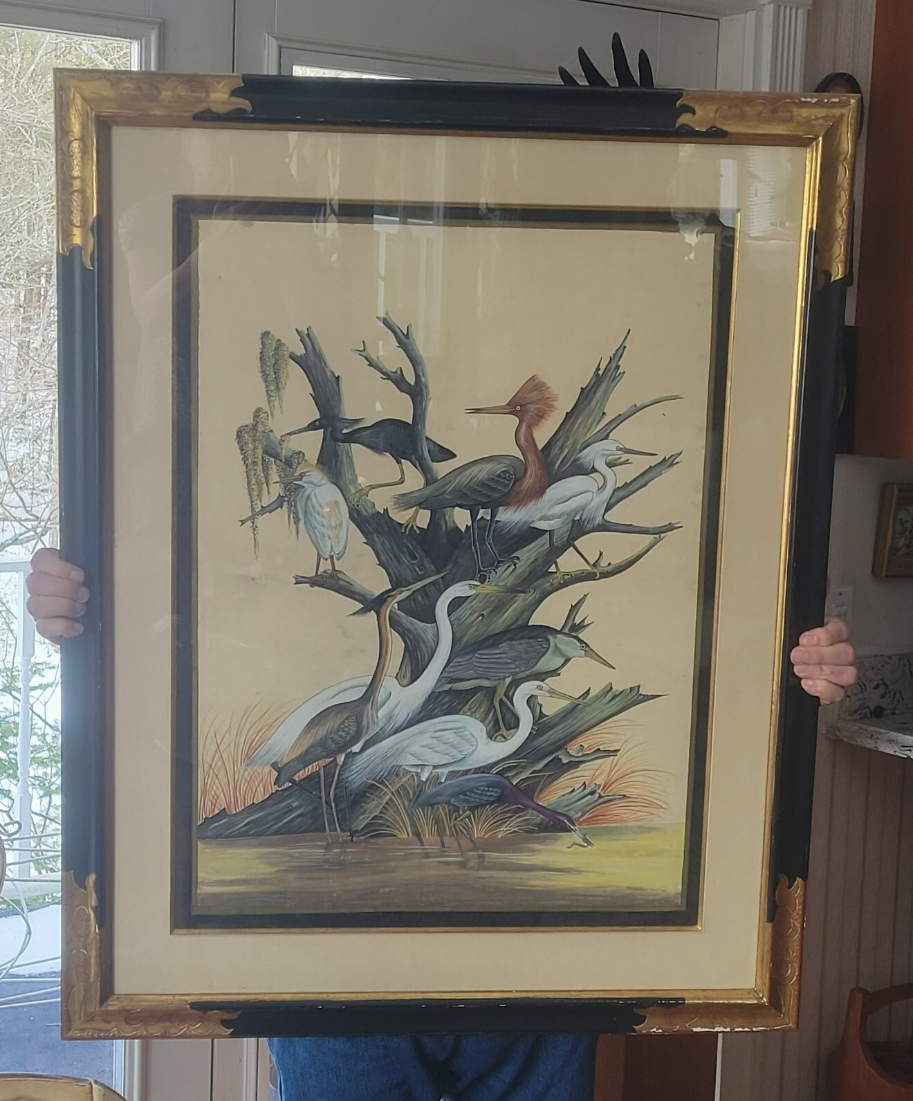 GORGEOUS ARTHUR SINGER LG BIRDS OF THE WORLD PAINTING ON SILK C-1910 – 38″ X 30″