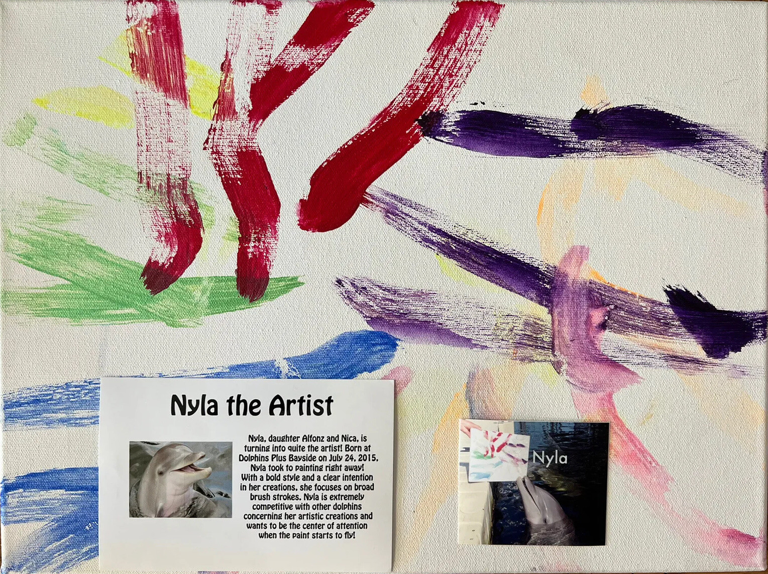 Original Painting By Nyla The Dolphin