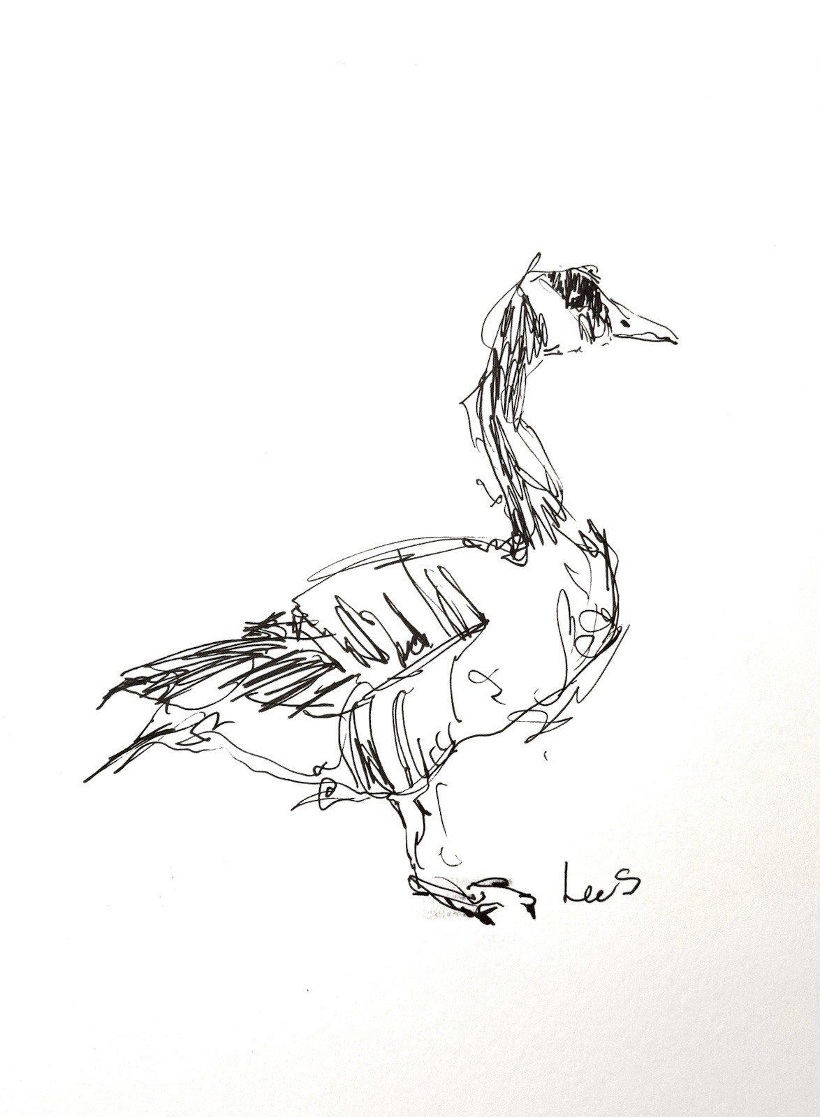 Original Abstract Expressionism 9X12 Goose Paper Ink Gestural Handmade Signed 14