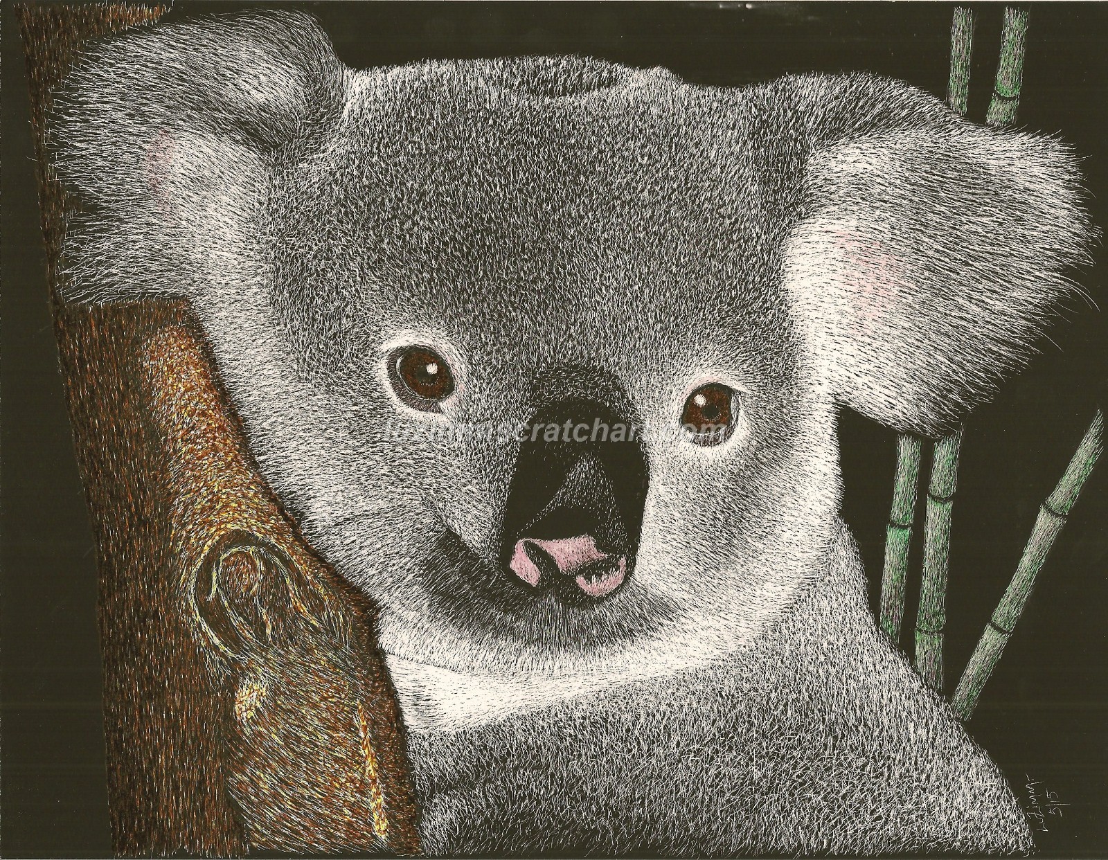 A Koala Having Fun! -Reg Board 8.5″x11″ Scratch Signed