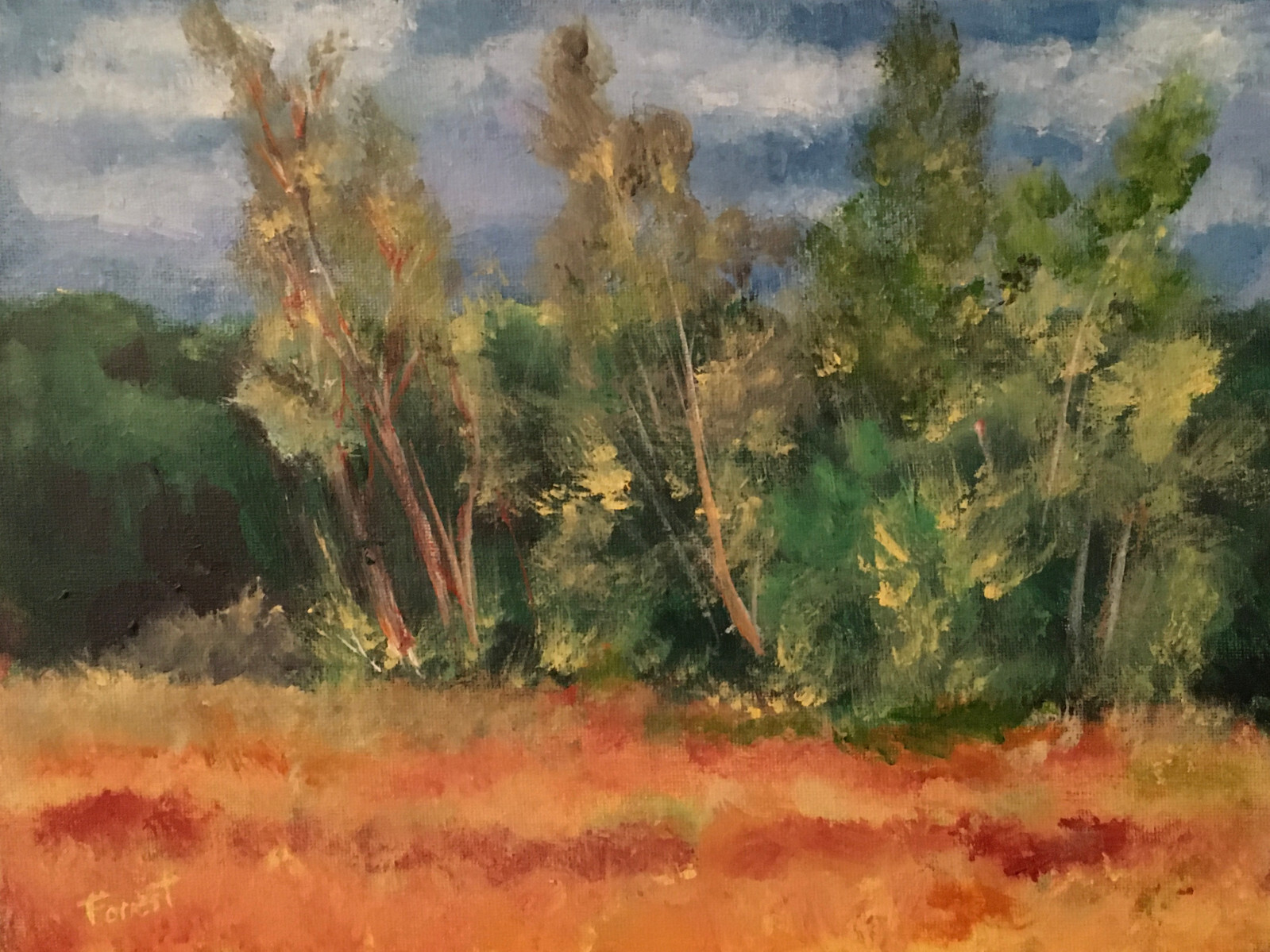 Valley Birches- Tree Landscape Field Original Framed 9×12 Acrylic Painting