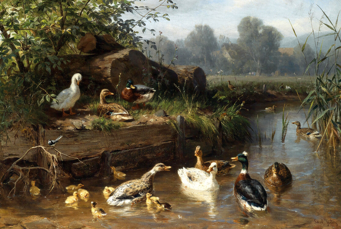 Ducks and ducklings put in the stream oil painting HD printed on canvas L3097