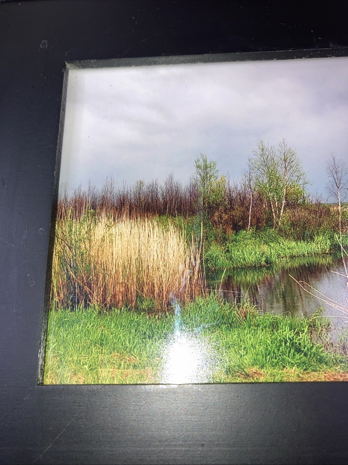 Framed Landscape Photo Of Marsh Stream Grasses Reeds Trees Green-Yellow-Blue Hue