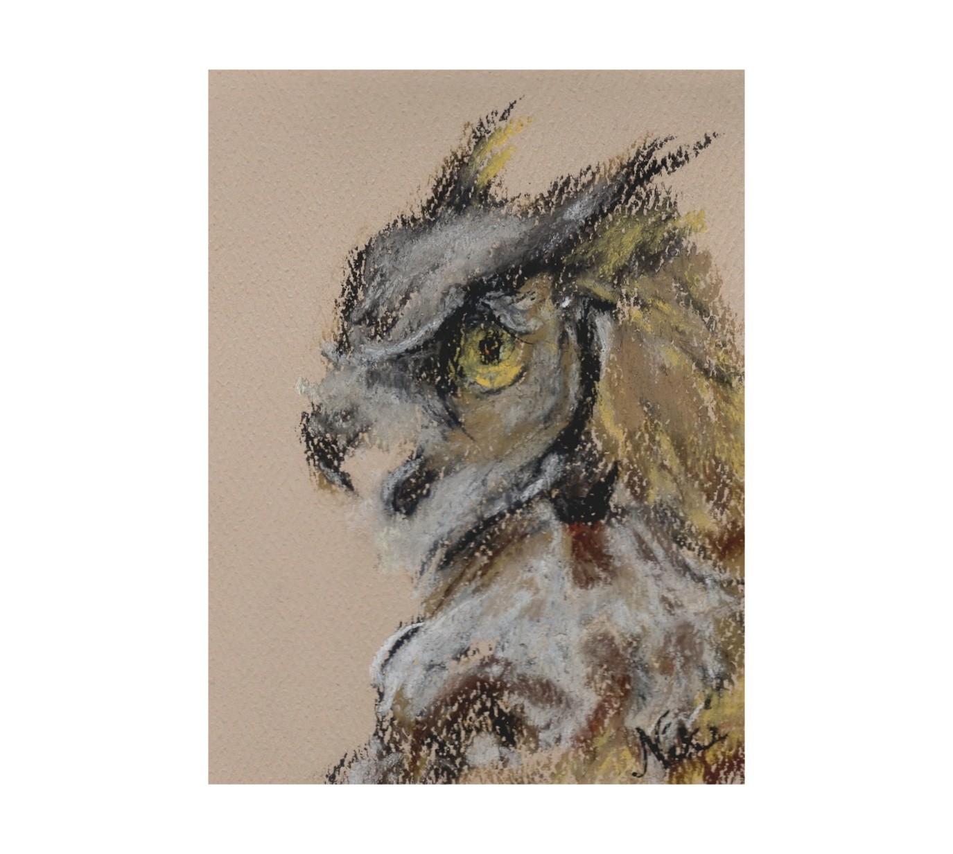 Original Small Handmade Collectible Bird Artwork Horned Owl Wildlife Pastel Art
