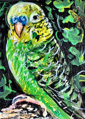ORIGINAL ACEO Painting BUDGIE PARAKEET Bird Yellow Green Pet Parrot ATC ART
