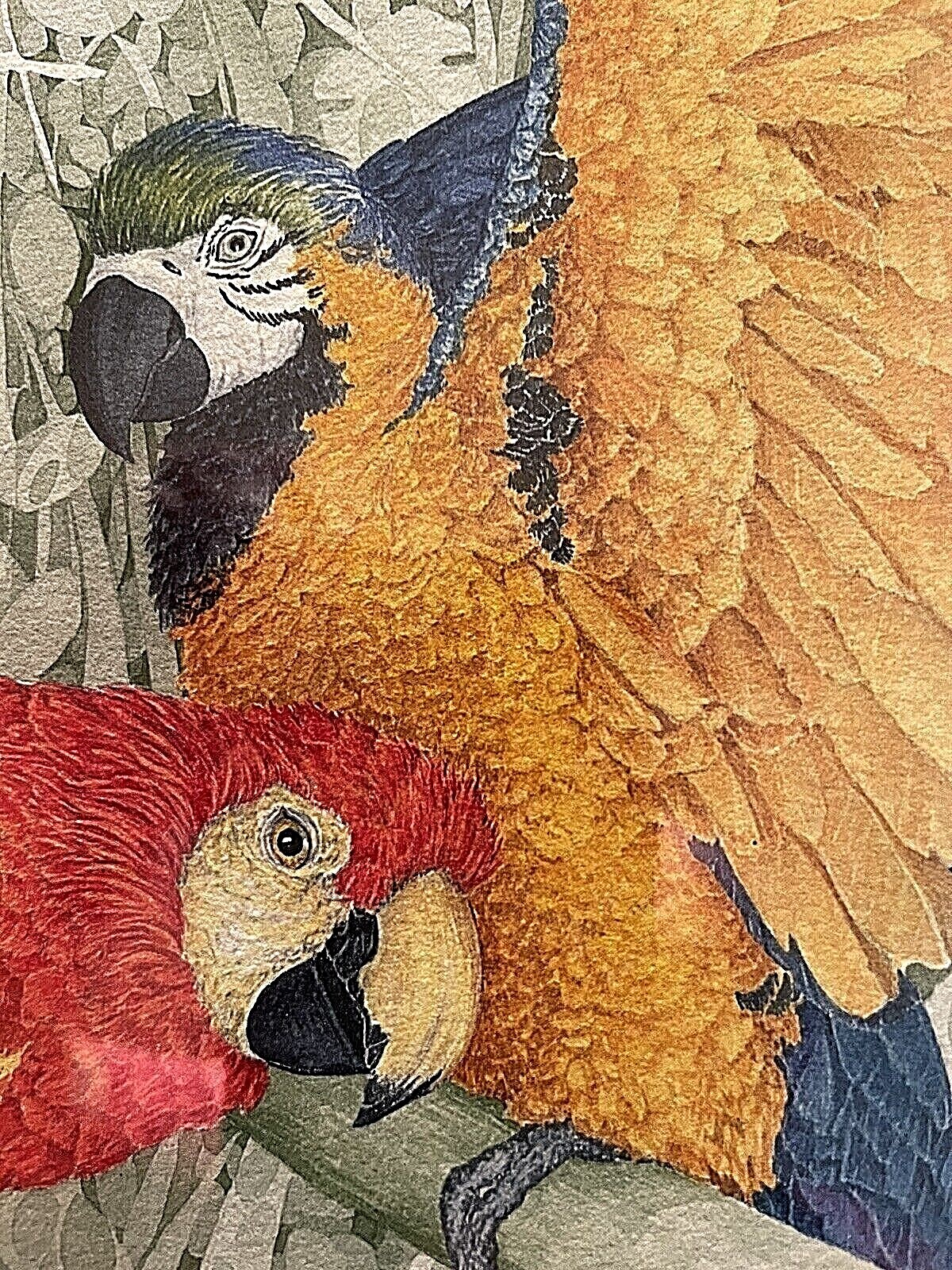 Original Watercolor by Beebe Mack. Parrots.