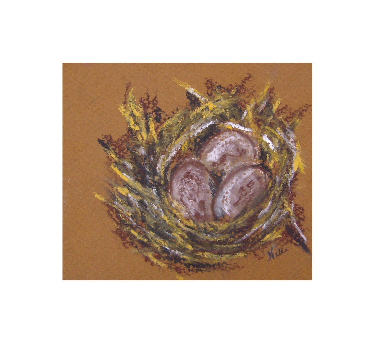 Original Artwork Pastel Bird Nest and Eggs Small Nature Country Painting