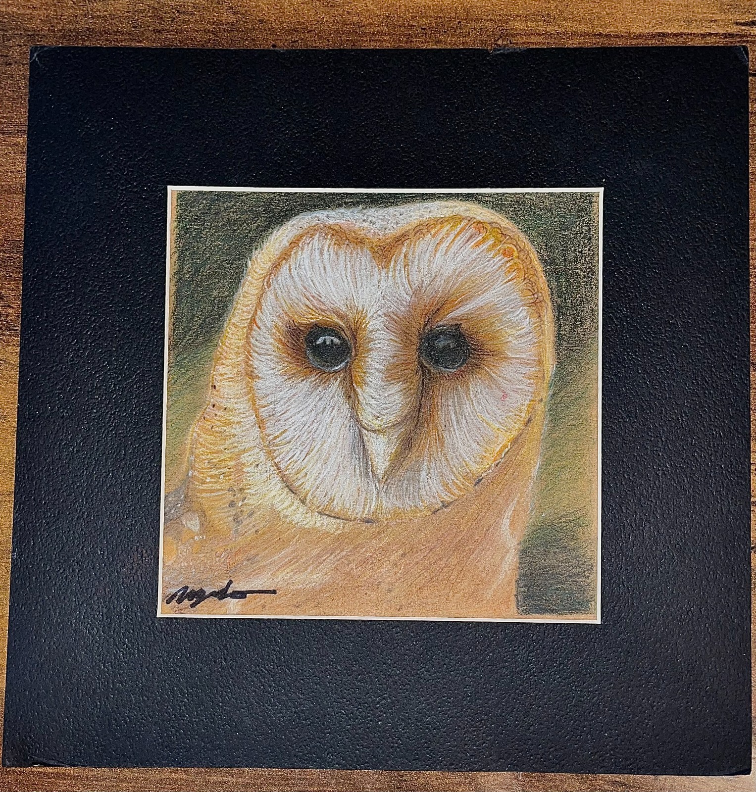 Original Colored Pencil Framed Drawing Signed Snowy Owl: «Hedwig» 10x10in