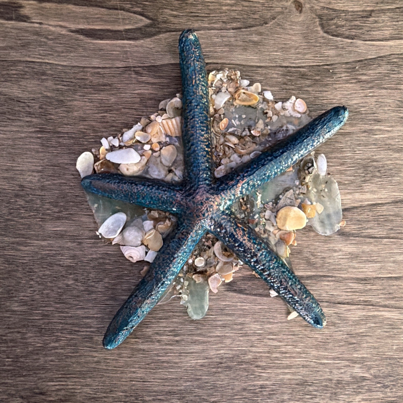 Original ACEO Mini Starfish/ Shell Resin #resin Mini-Shell ocean