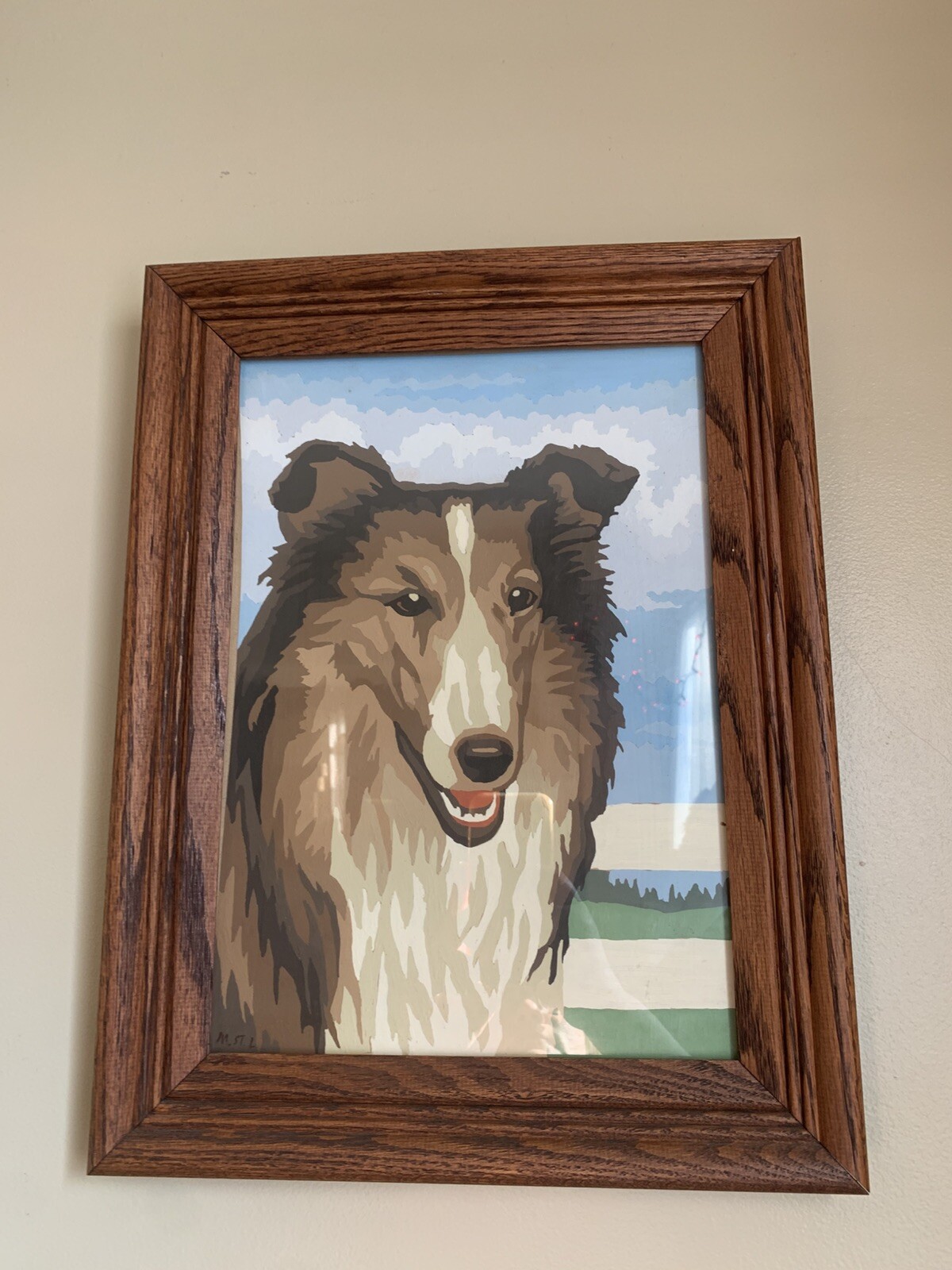 Vintage Hand Painted Paint by Numbers «Collie» Dog Portrait Framed Decor LASSIE