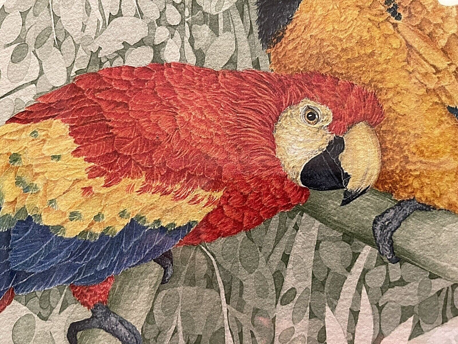 Original Watercolor by Beebe Mack. Parrots.