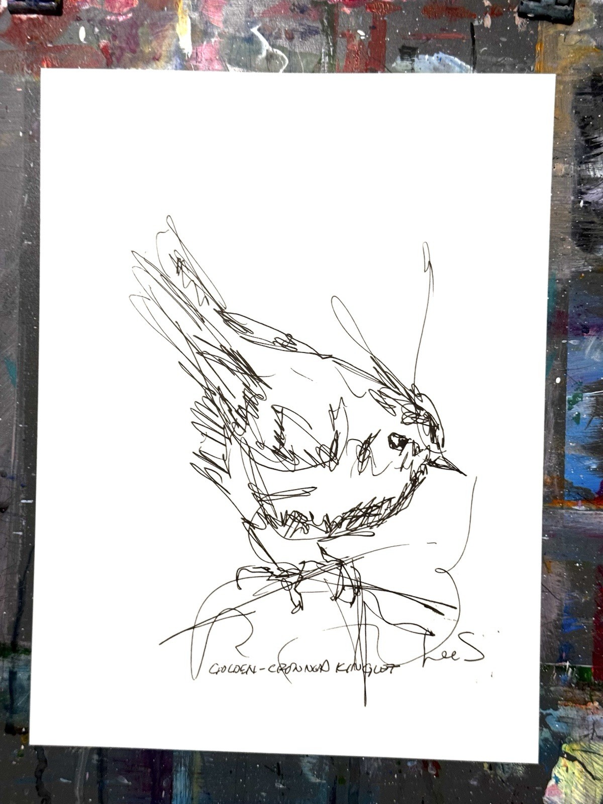 Original Abstract Expressive 9X12 Paper Pen and Ink Bird Handmade Signed 12