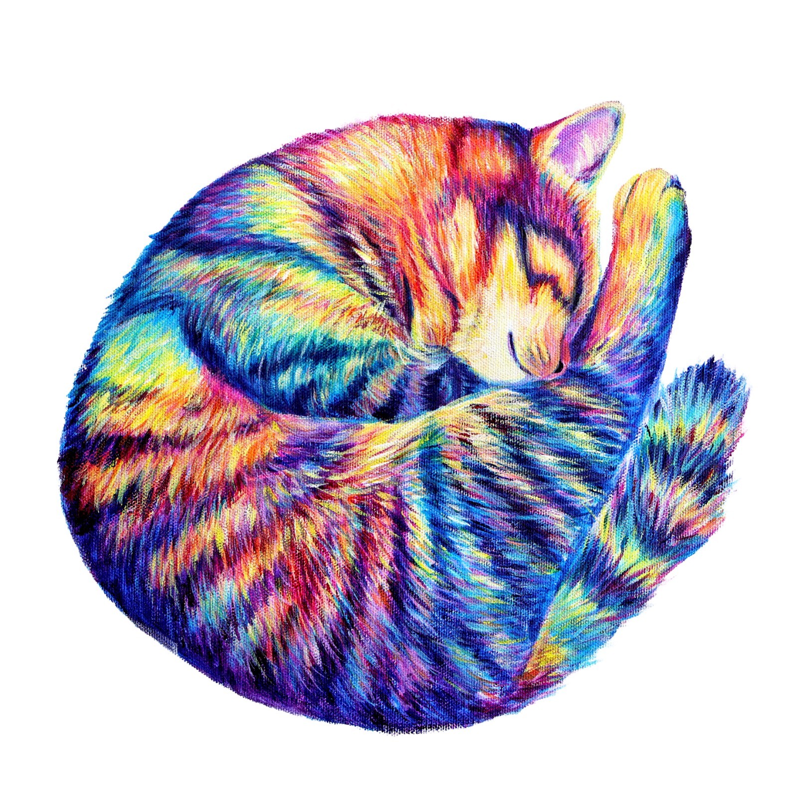 Original Art, Abstract Cat Painting, Sleeping Animal, Colorful Rainbow 12x12inch