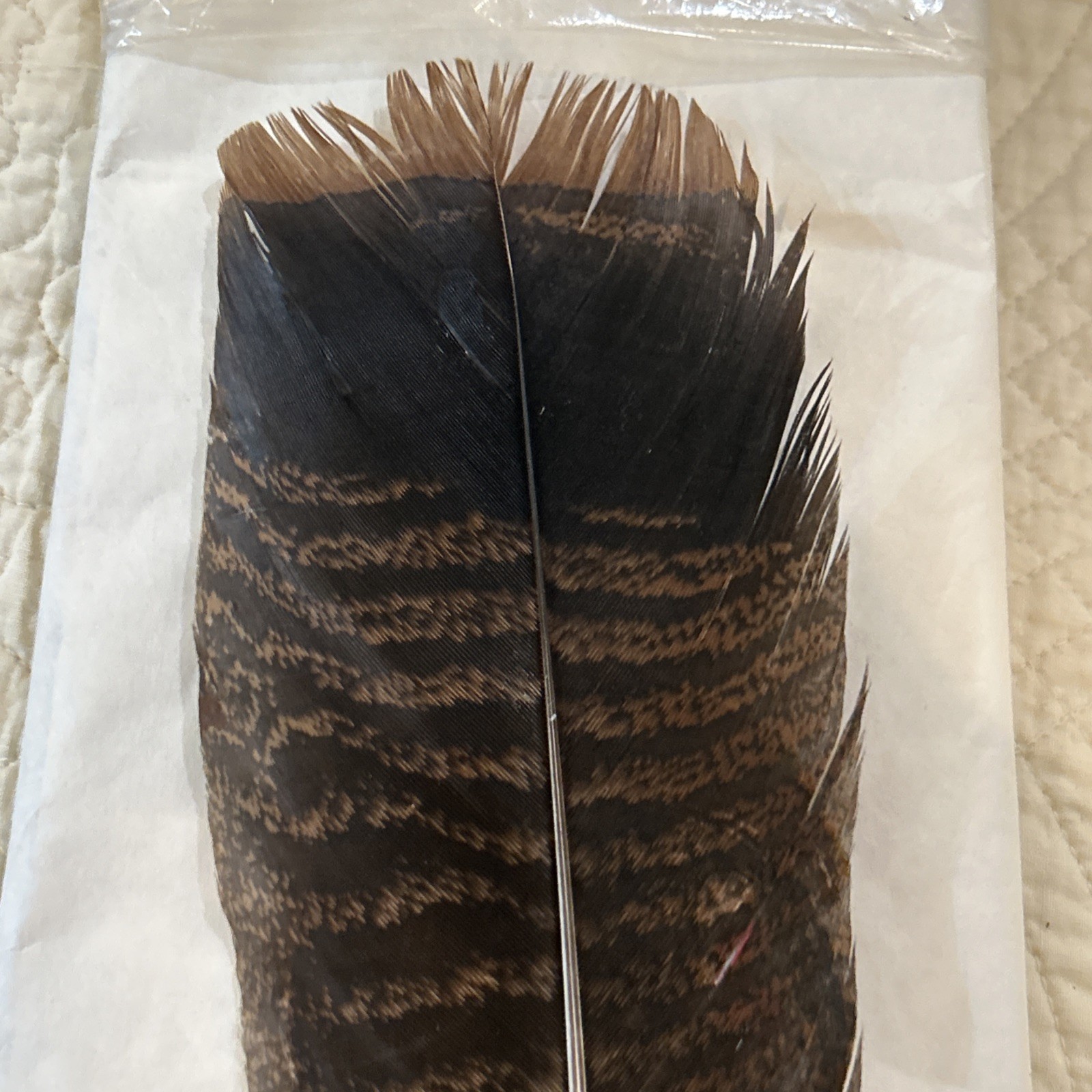 Hand Painted Turkey Feather. Signed Marte Erb. School Auction 6/18/2010. No. 69.
