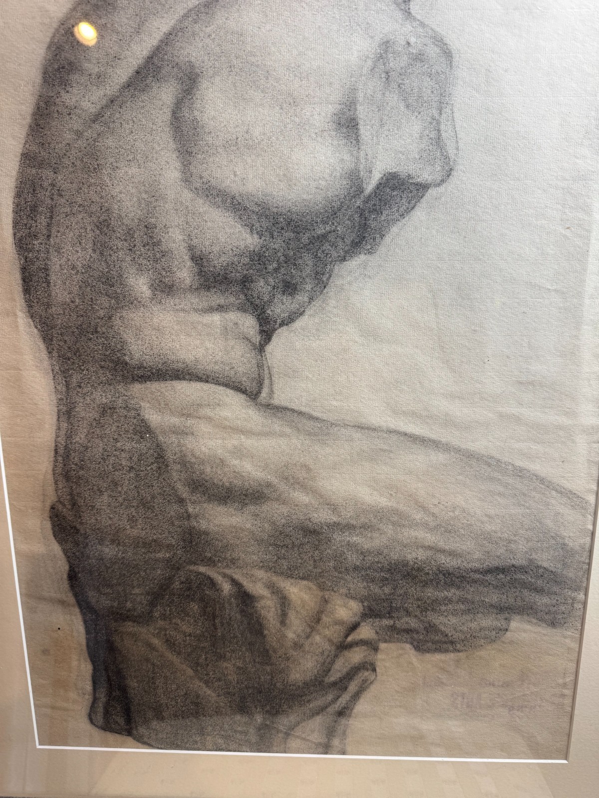 Baltimore School Original Charcoal Anatomical Torso Figure Study Framed Signed