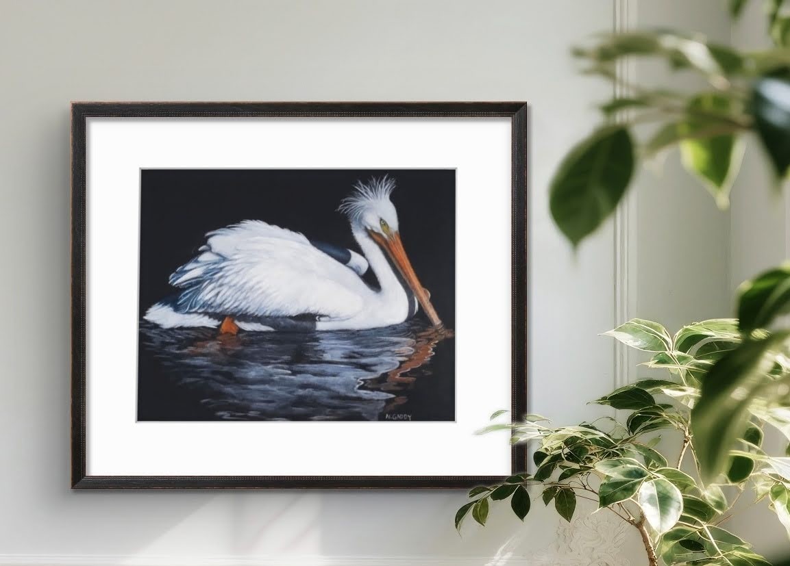 Original White Pelican 14 x 11 Colored Pencil Paper Matted Art