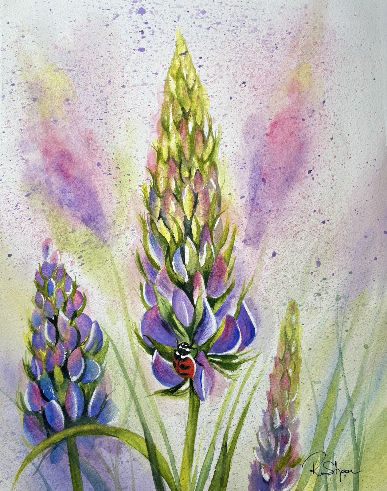 Sheerwatercolors Original Painting Lupines Flower Ladybug Botanical Floral Decor