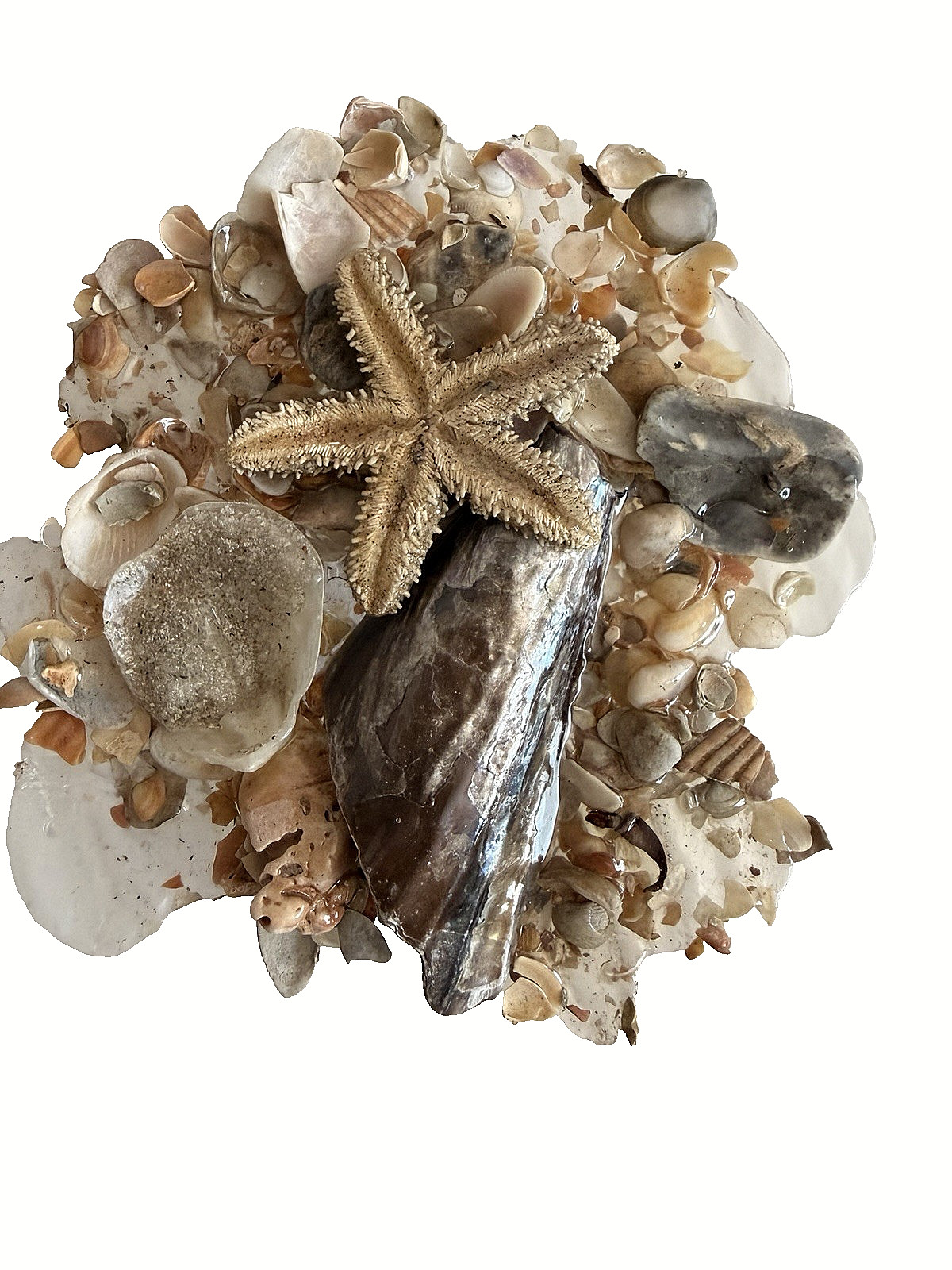 Original ACEO Mini Shell Resin #resin Mini-Shell ocean