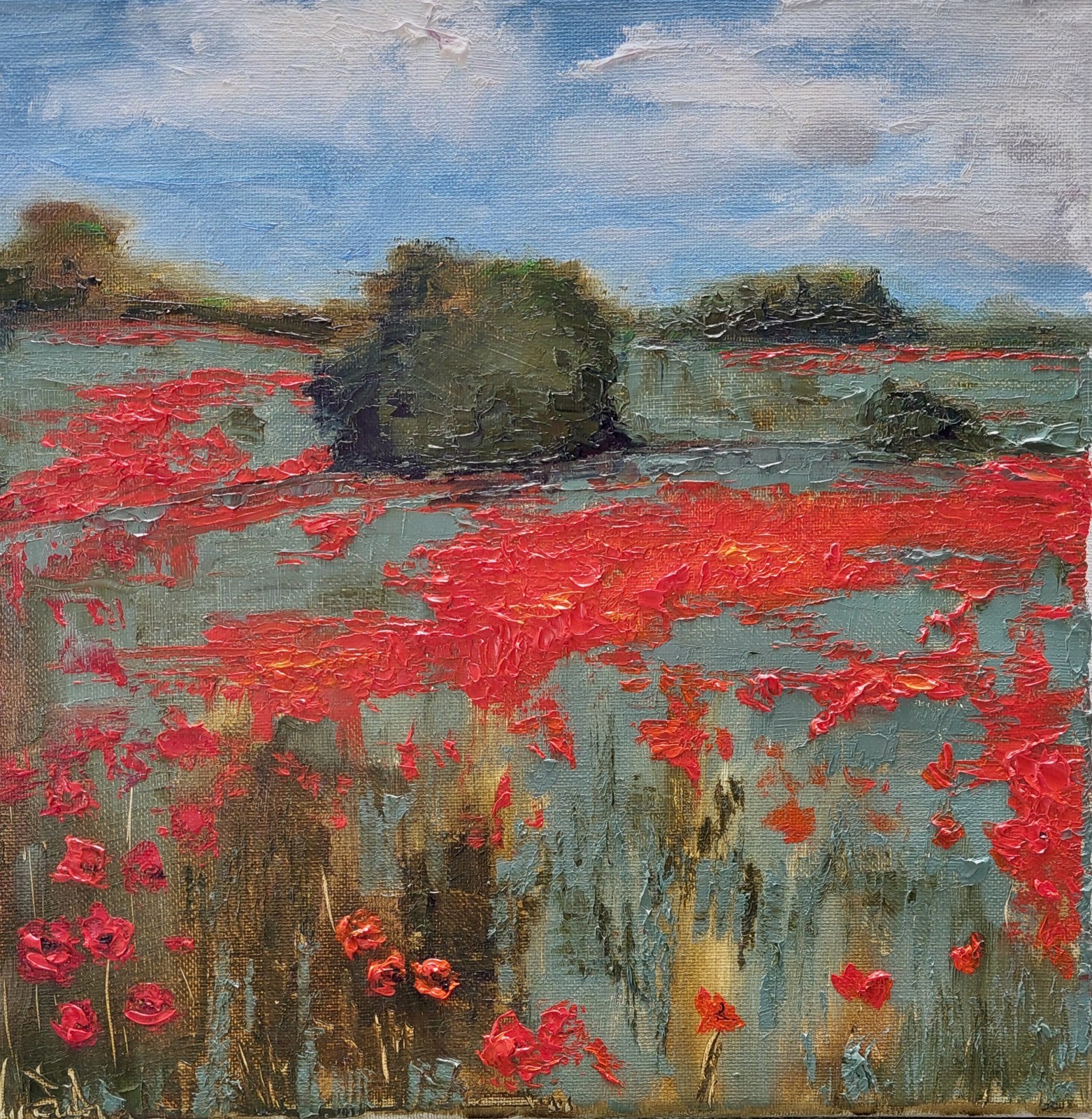 Oil original painting on canvas size 12×12 inches Poppy field