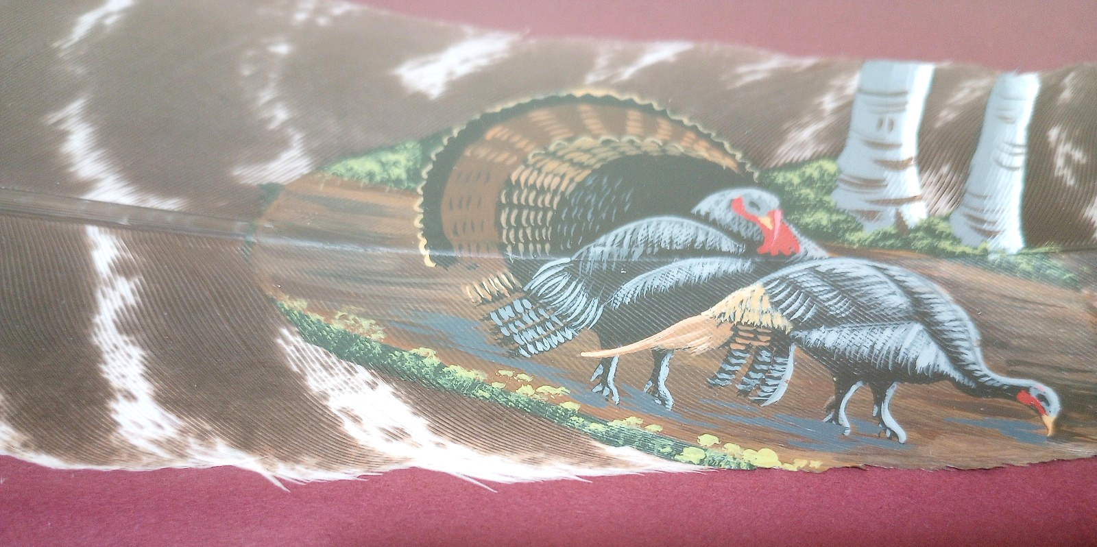 Beautiful Framed Hand-Painted Wild Turkey Feather Wildlife Art, One of a Kind