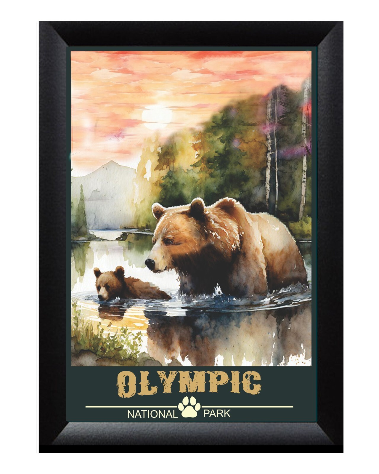 Olympic Oregon Grizzly Bear Art Wild Life Wilderness Scene Travel Poster Prints