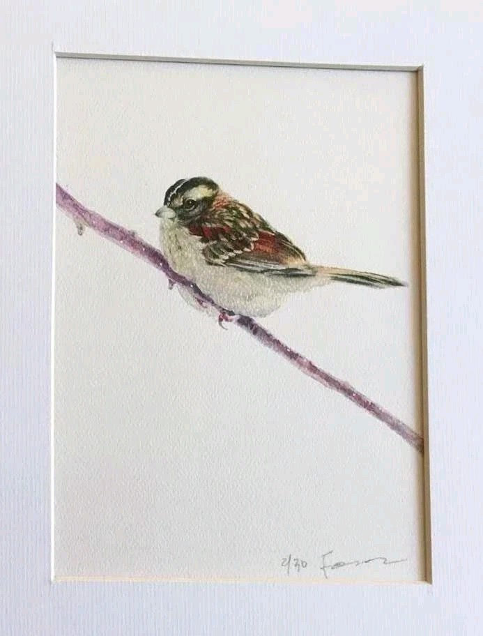 Original Water Color Painting