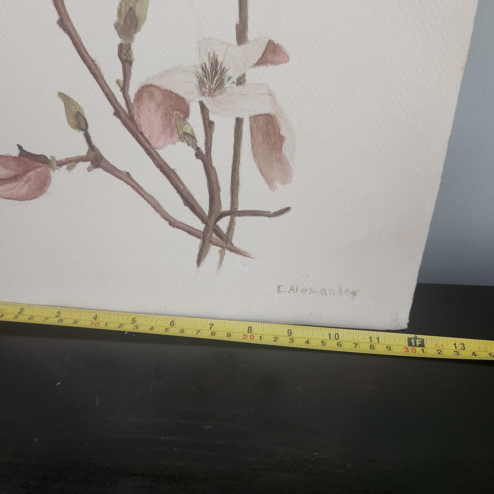 Original Watercolor Art Dusty Pink Magnolia Signed E. Alexander 12×18
