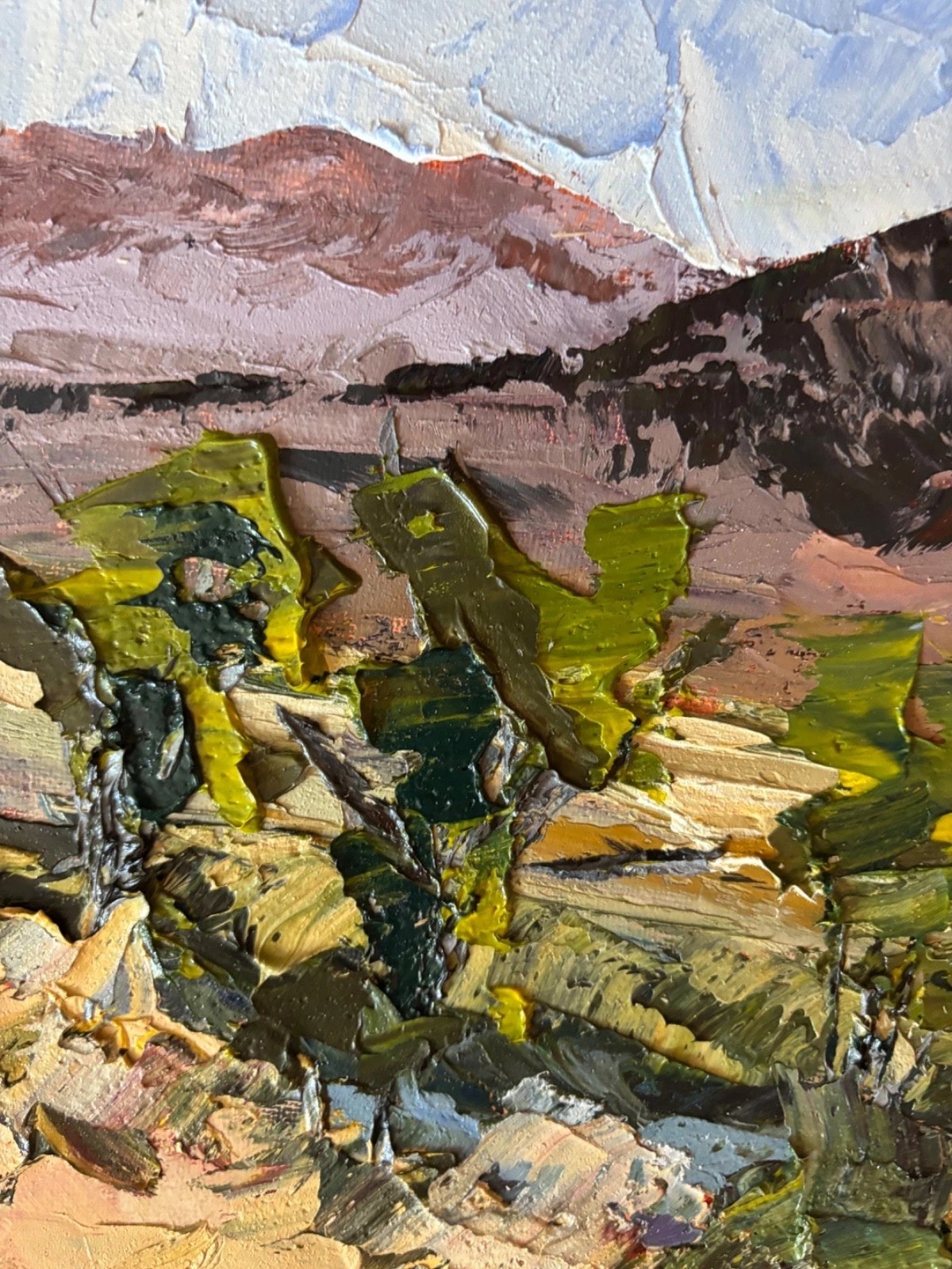 Joel Cooley’s GREEN DESERT