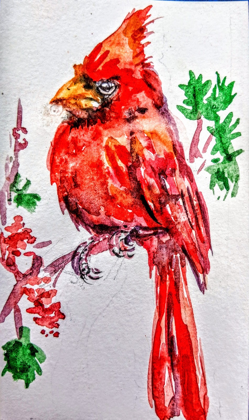 Bird art,original Watercolor painting Signed, red Christmas cardinal bird 5×3″