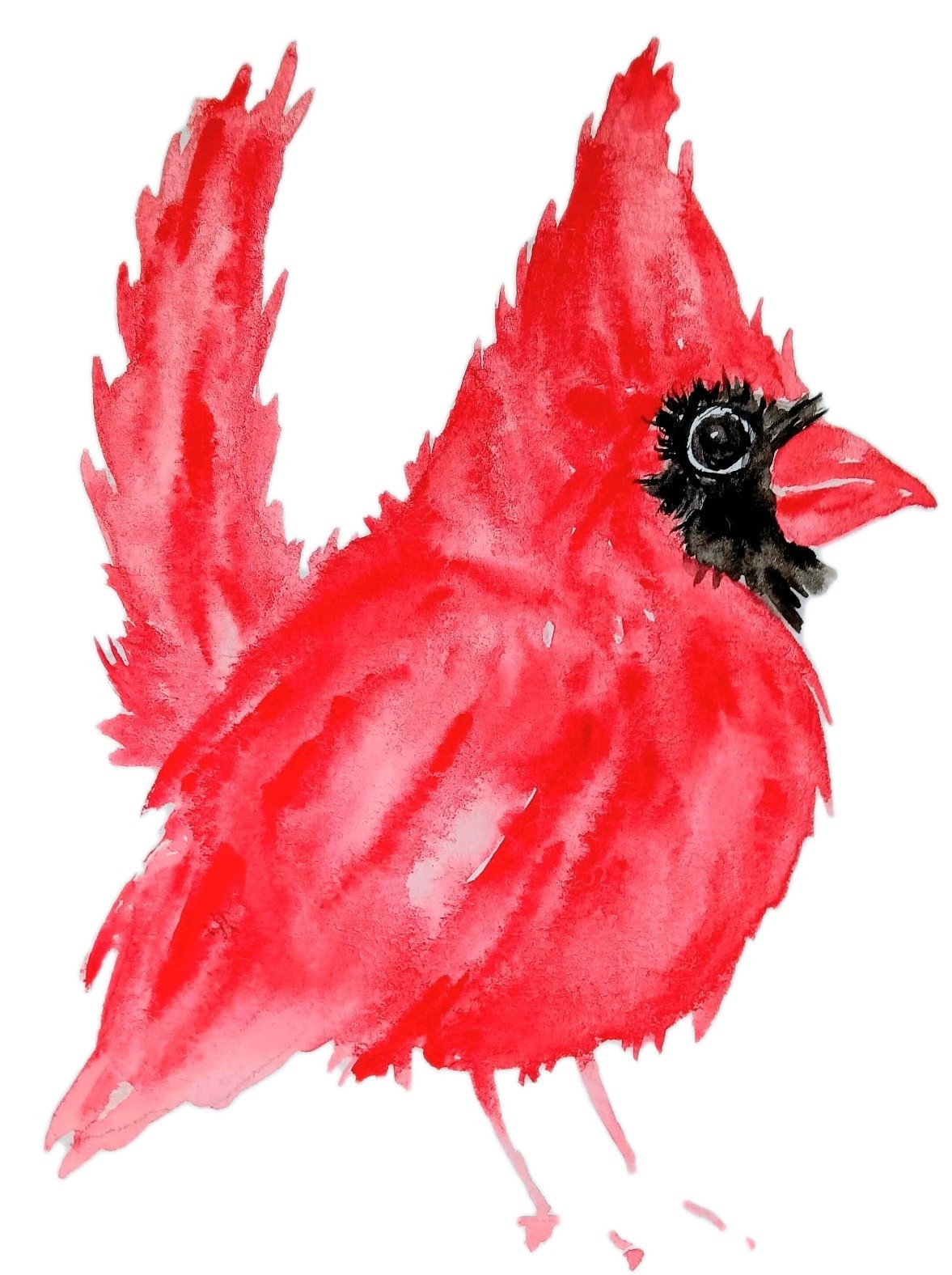 Bird art,original Watercolor painting red Christmas cardinal bird unique gift
