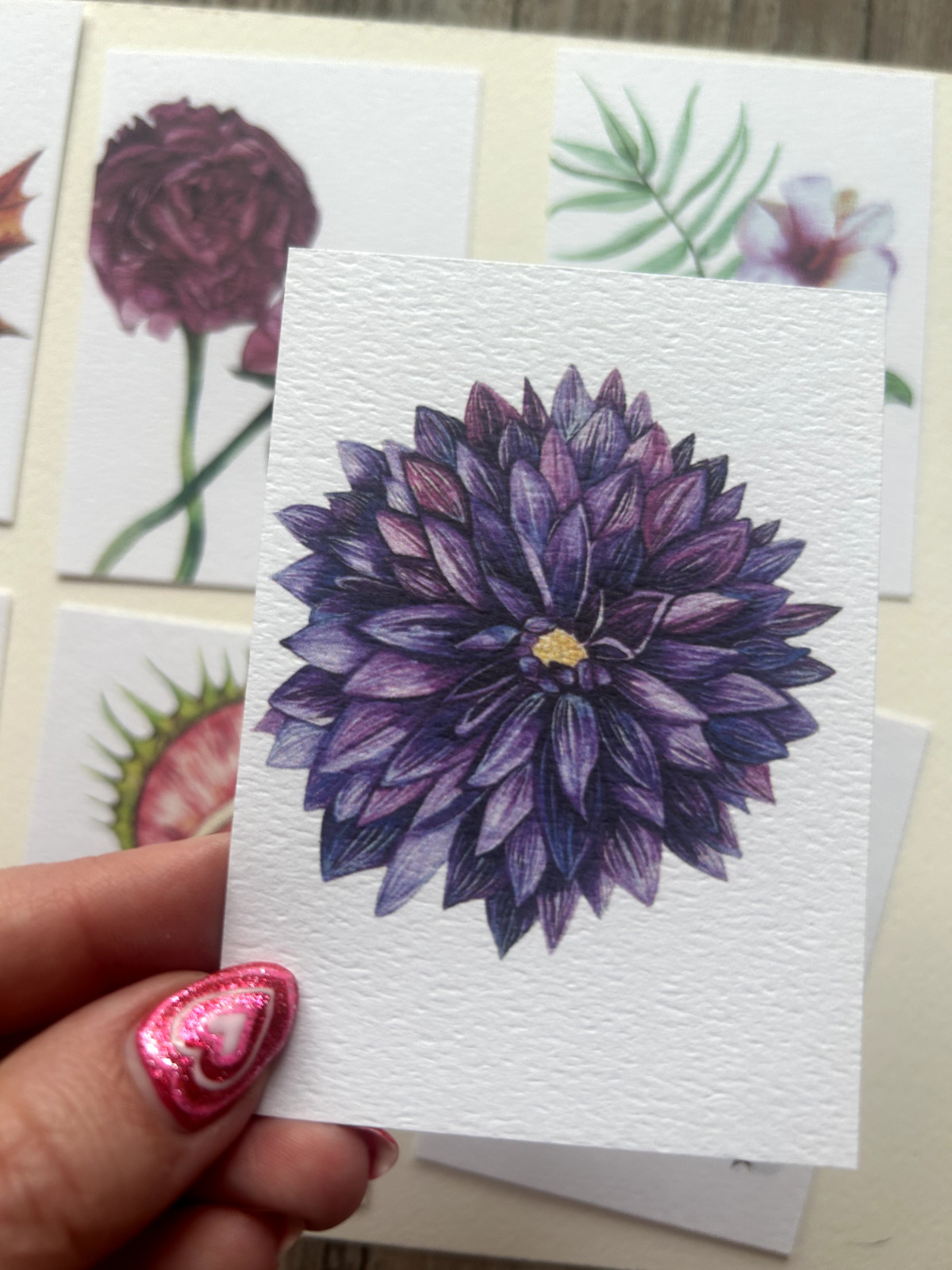 ACEO Edition- Print Sawyer Crane Flower Watercolor Purple Dahlia floral garden