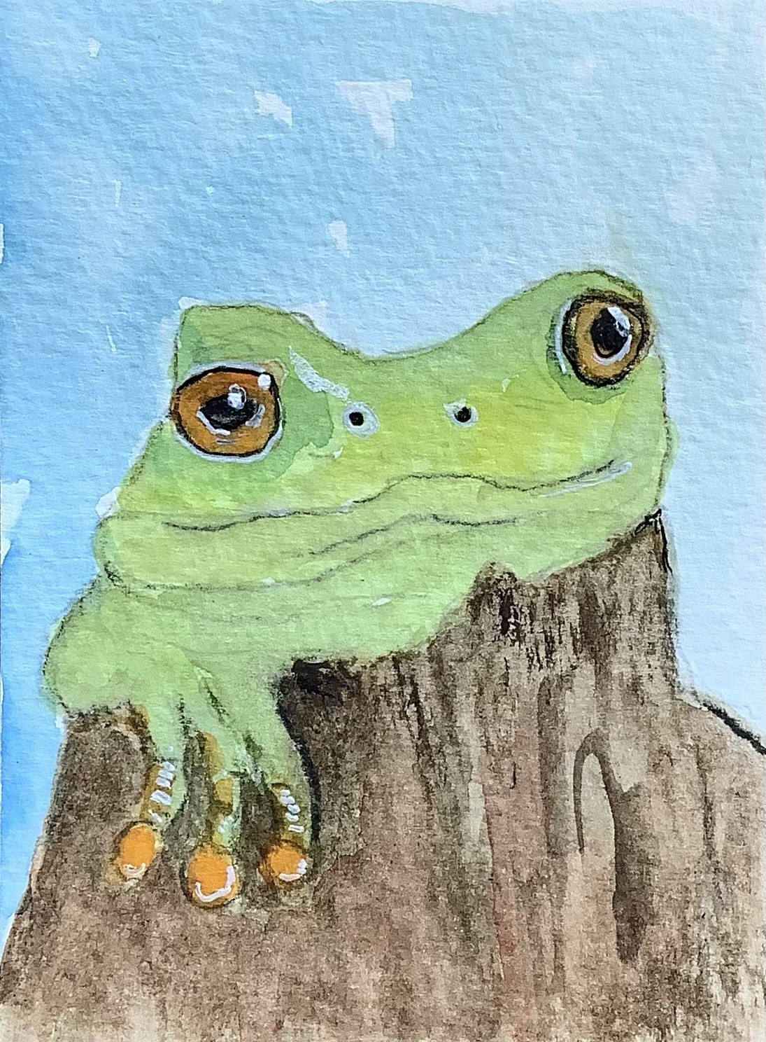 ACEO By Kenna Watercolour Original Painting Green Frog 2.5” X 3.5” Signed ÀTC