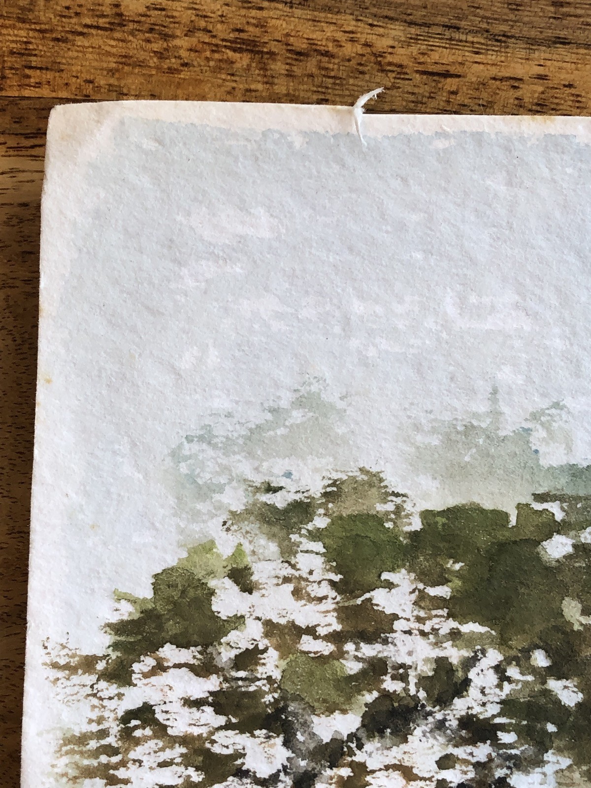 Unknown Impressionist – Grove – Fruit Blossom – Summer – Watercolour – 30X20, 5