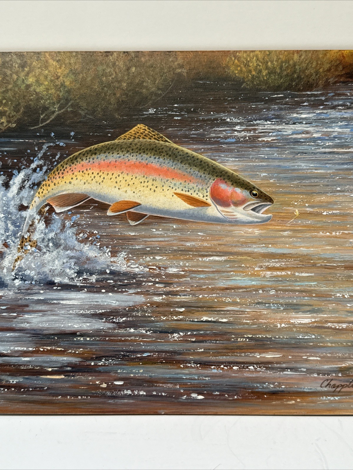 Fish Painting Fishing Jumping Fly Lure River Stream David Chapple Listed Famous