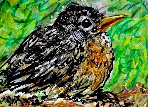 ORIGINAL ACEO American ROBIN Baby BIRD Nest Painting Spring CHICK Nature ATC ART