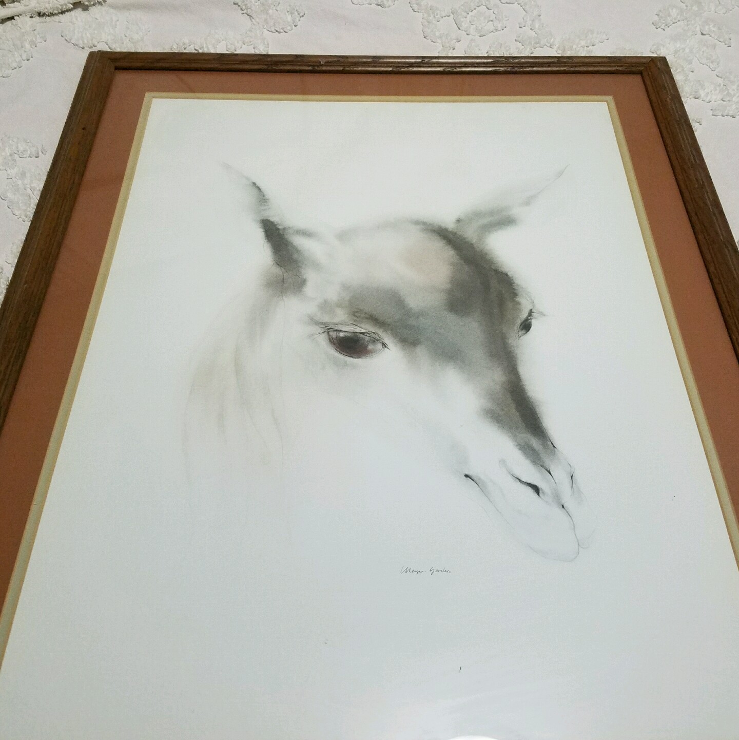 Colt African signed watercolor Print by Meyer Garlen / Frame Large 30 1/2″ X 25″