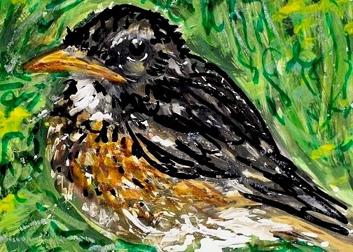 ORIGINAL ACEO American ROBIN Baby BIRD Nest Painting Spring CHICK Nature ATC ART
