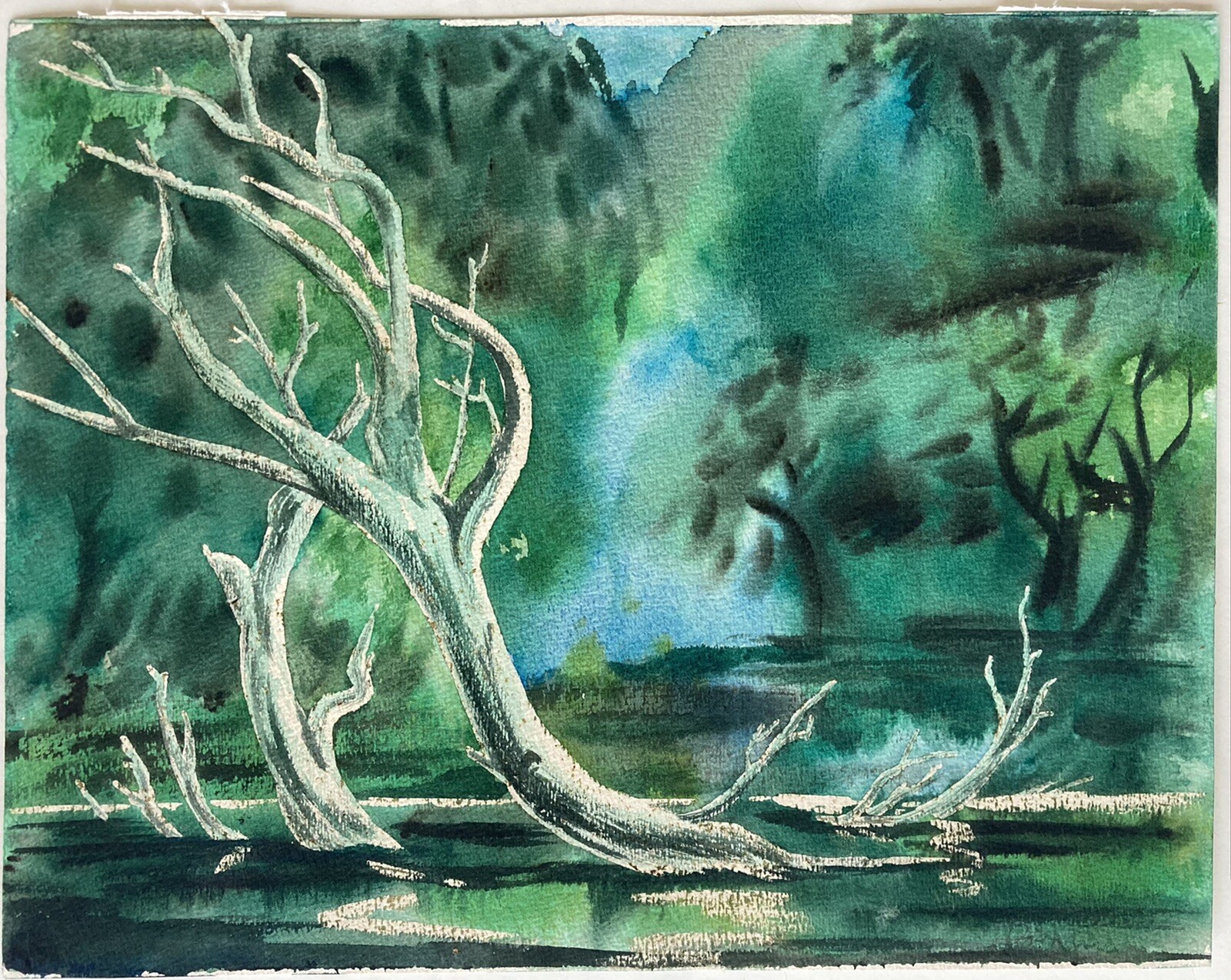 Mid-Century Woodland Watercolor 14″ Fallen Tree 60s Forest Scene National Parks