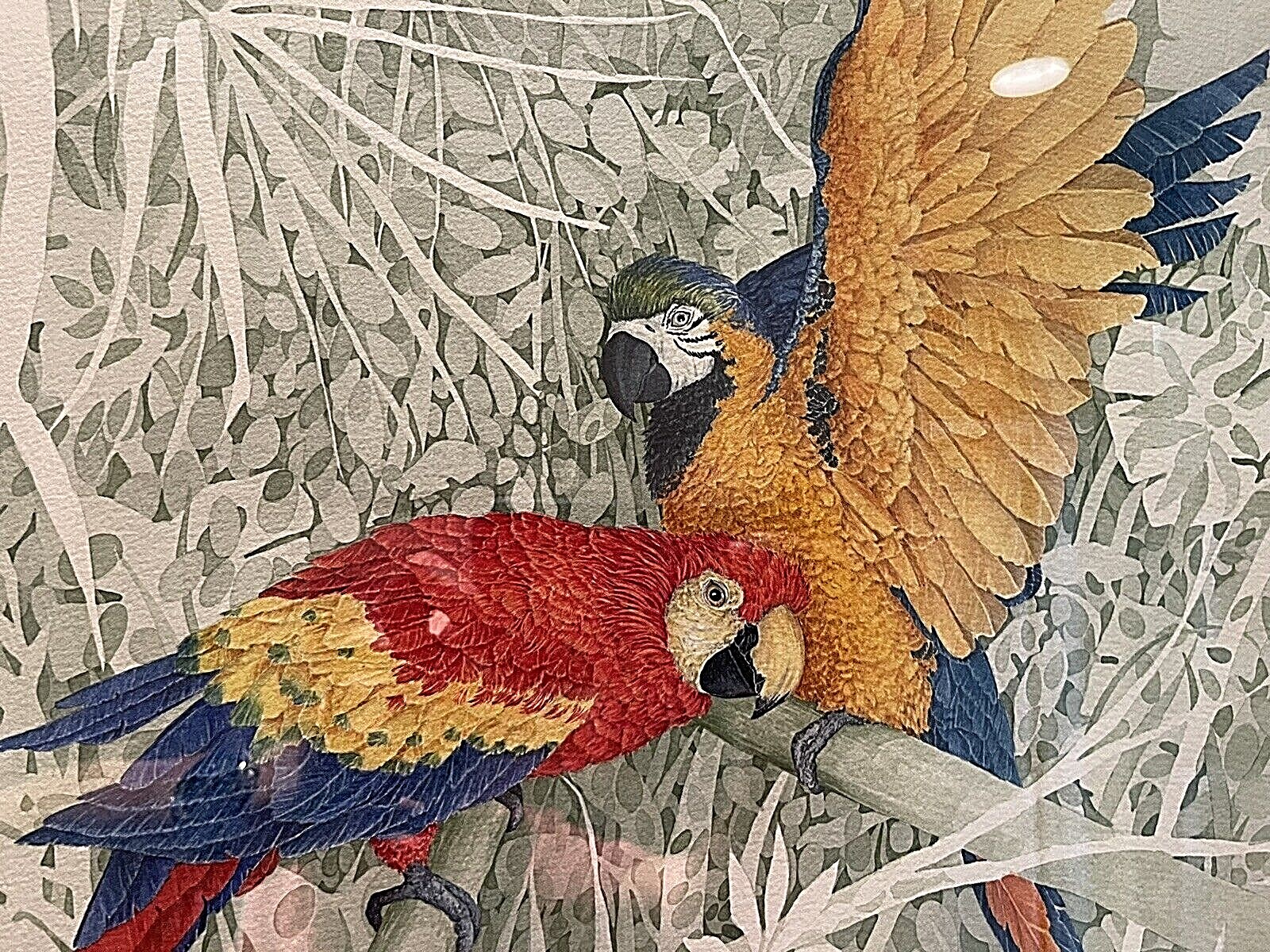 Original Watercolor by Beebe Mack. Parrots.