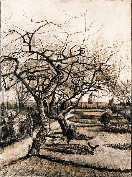 Vincent van Gogh – The Parsonage Garden Painitng Canvas Print wall home Decor