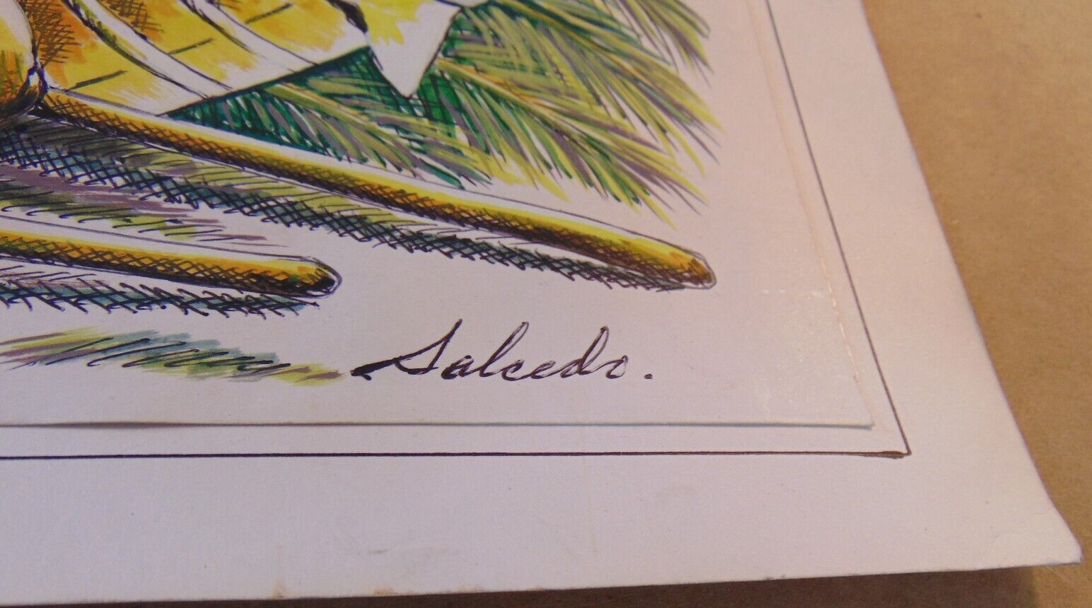 Original Salcedo Tropical Coconut Illustration – Dominican Republic Cultural Art