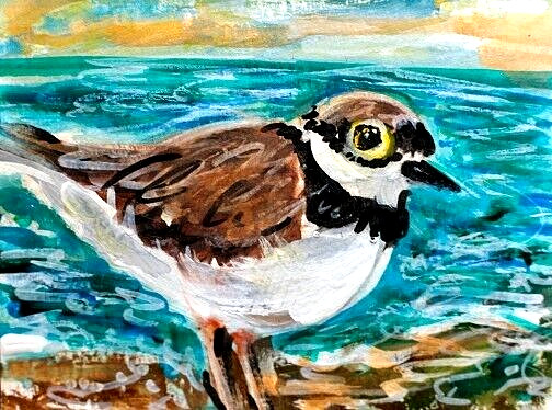 ORIGINAL ACEO Painting PLOVER Beach OCEAN Gull BIRD Summer Shore Sea ATC ART