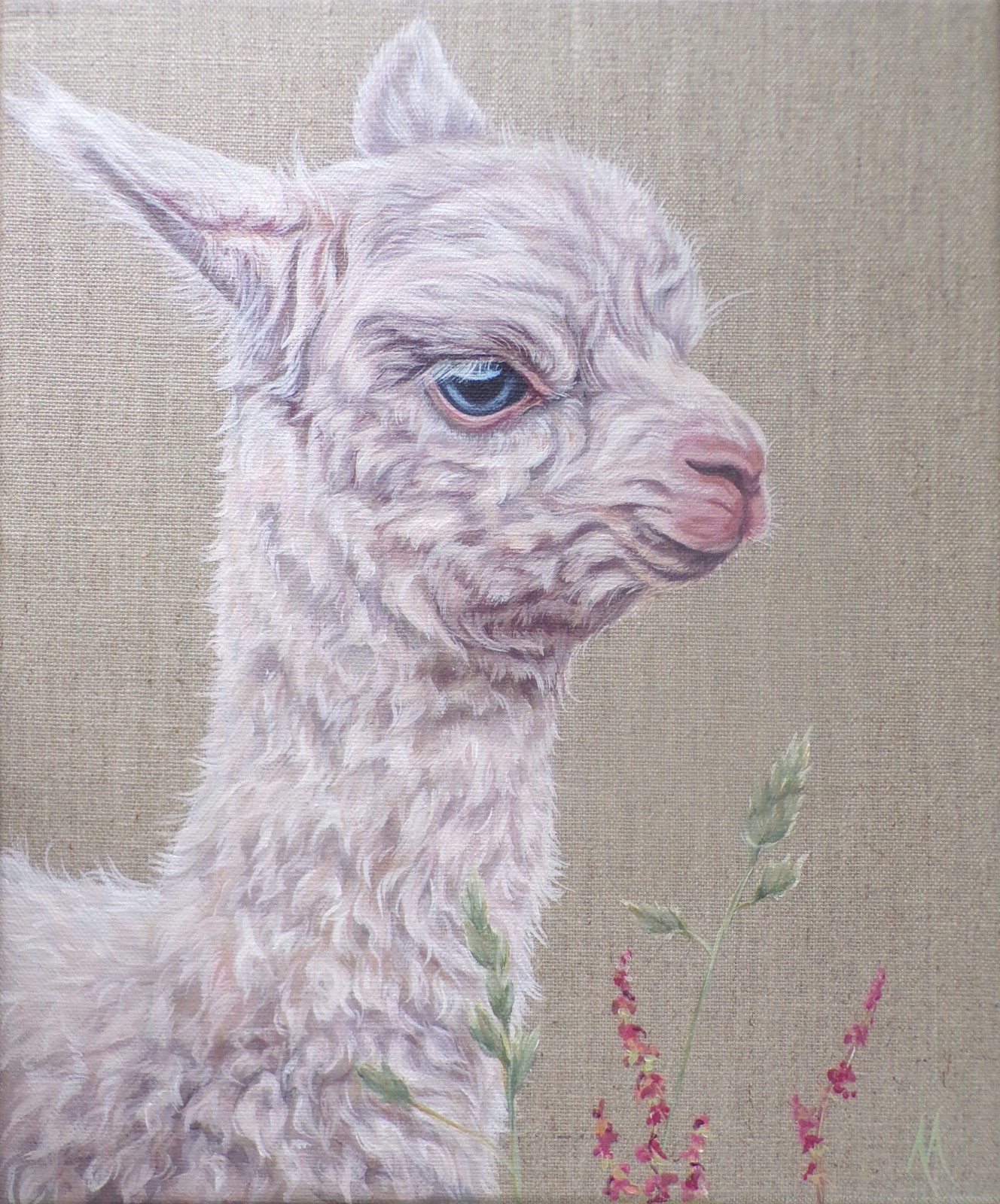 Alpaca – Original Painting by Alison Armstrong- Farm Animal Canvas