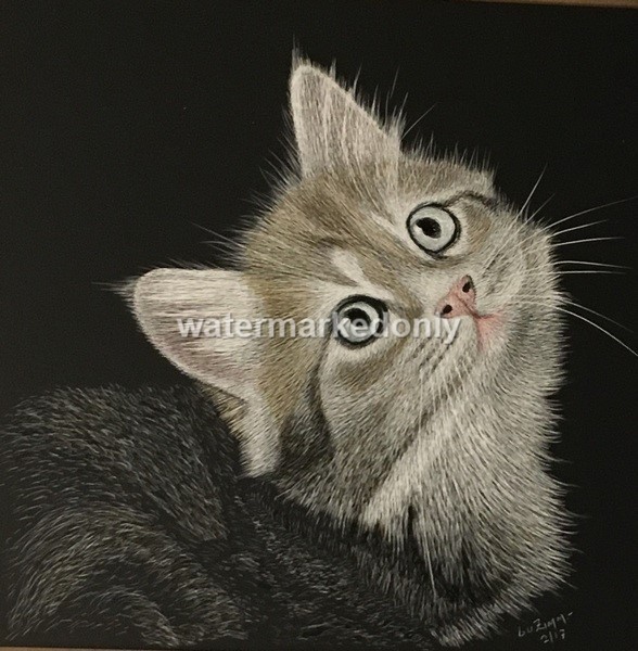 Ampersand Pro Board Original 8″x8″x1/4″ Kitten Looking Up Signed