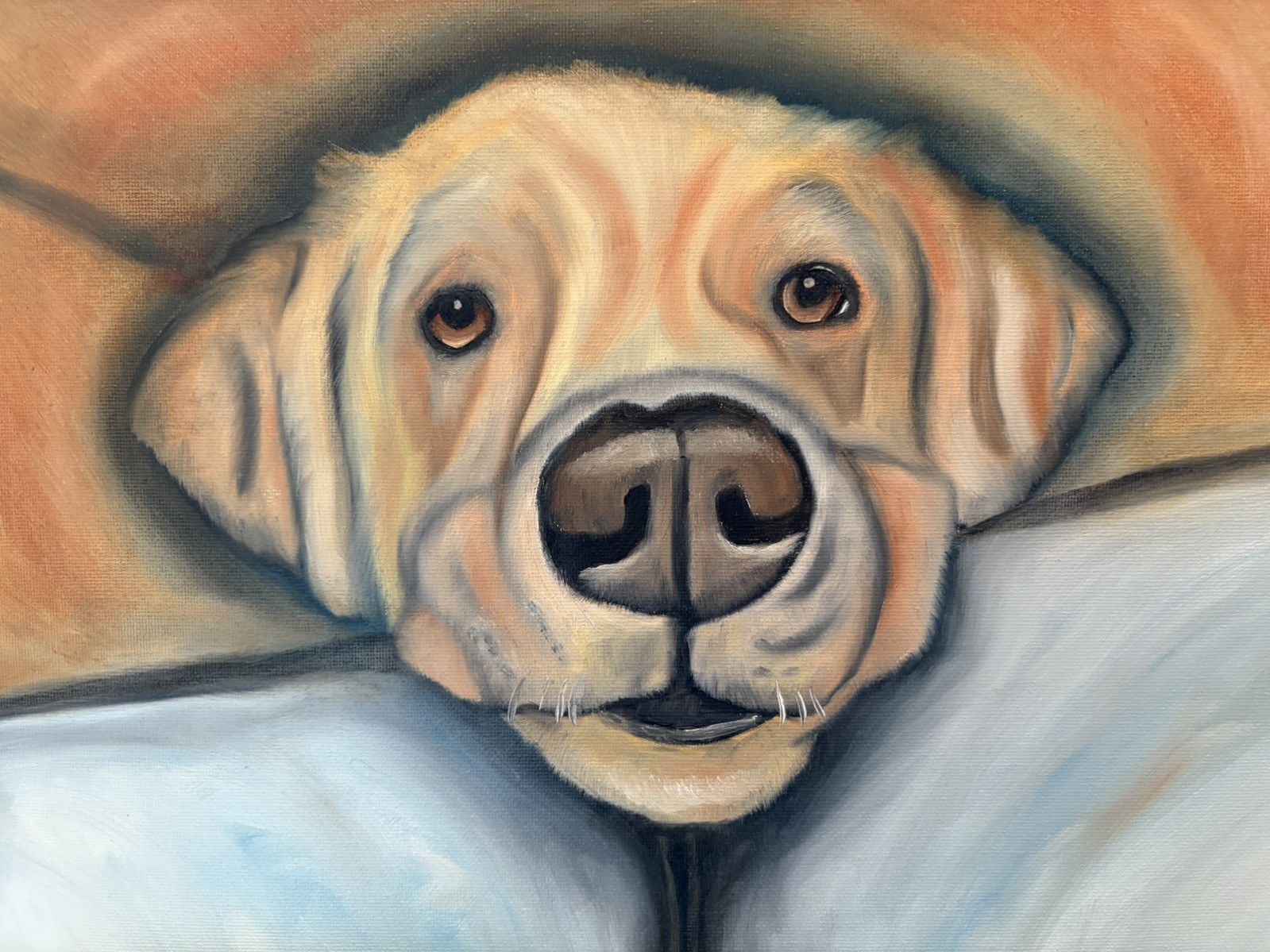 Original oil painting 11 x 14 inches handsome yellow Labrador retriever dog