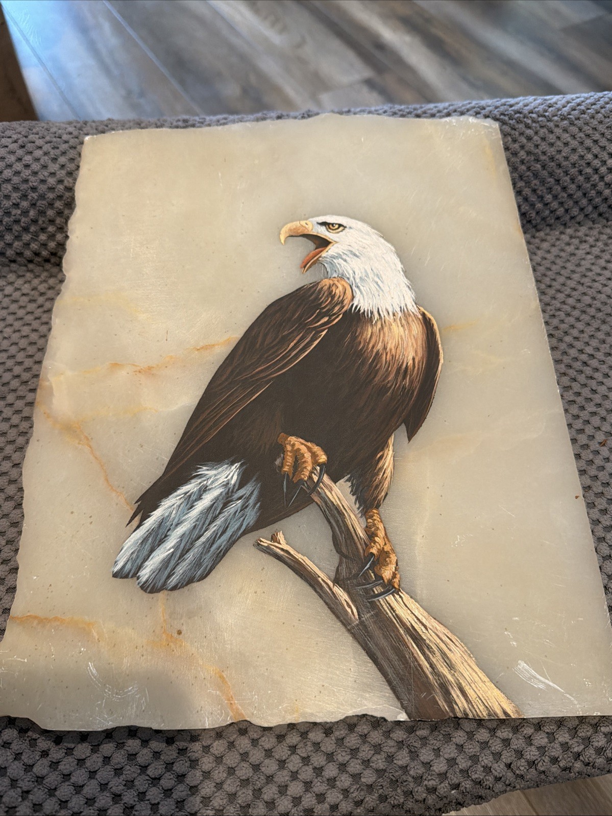 Eagle Hand Painted On Stone Slab