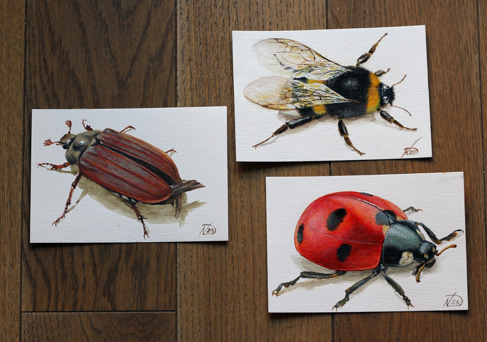 Maybug Beetle Painting Spring Insect Art Original Acrylic Nature Garden Decor