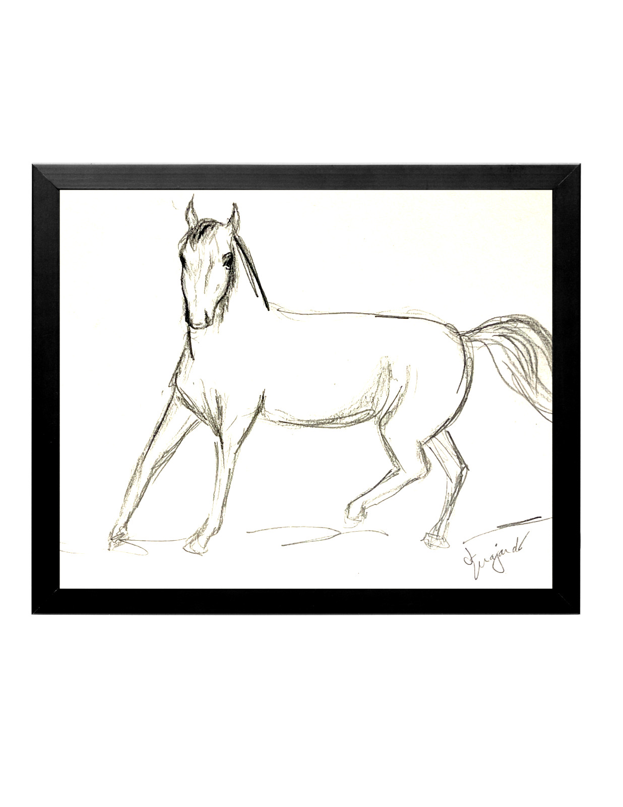 Guajardo Original Sketch of Horse Striding 11X8.5 Paper Signed Art